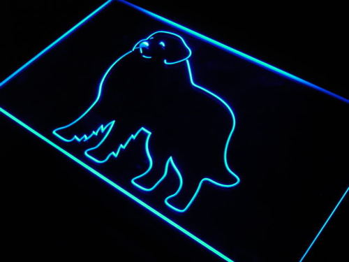 Great Pyrenees Dog Pet Shop Bar Neon Light Sign
